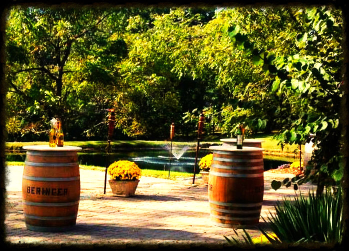 Holtkamp Winery Vineyards