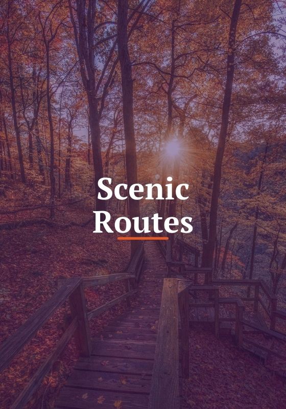 Scenic Routes Link