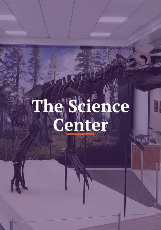 The Science Center Link