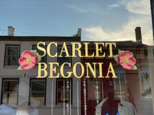 Scarlet Begonia