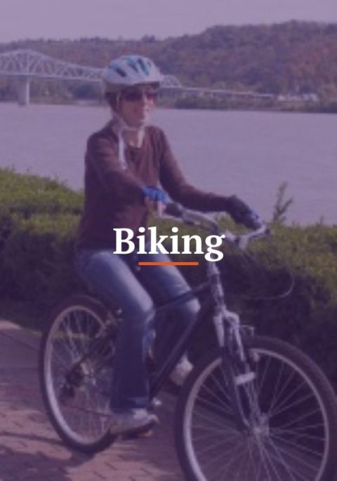 Biking link