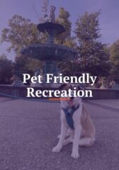 Pet Friendly Recreation link