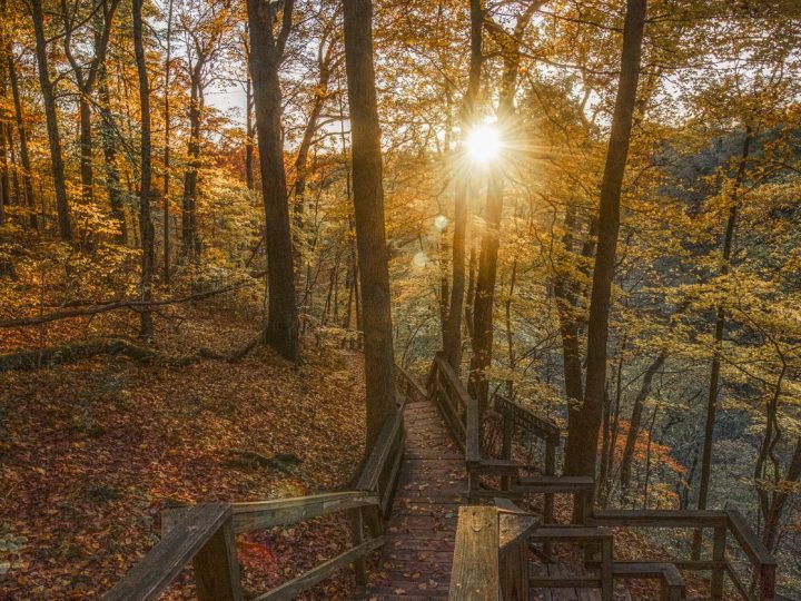 Great Fall Hikes: Madison’s Spectacular Fall Vistas