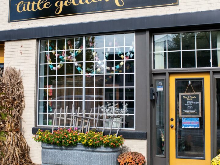 Discover Creative Connections at Little Golden Fox: Your Local Hub for Art and Creative Experiences